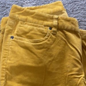 J. Crew Mustard Color Bootcut Corduroys. Size 14 R